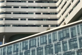 Rush Medical Center Tower Building from the ground